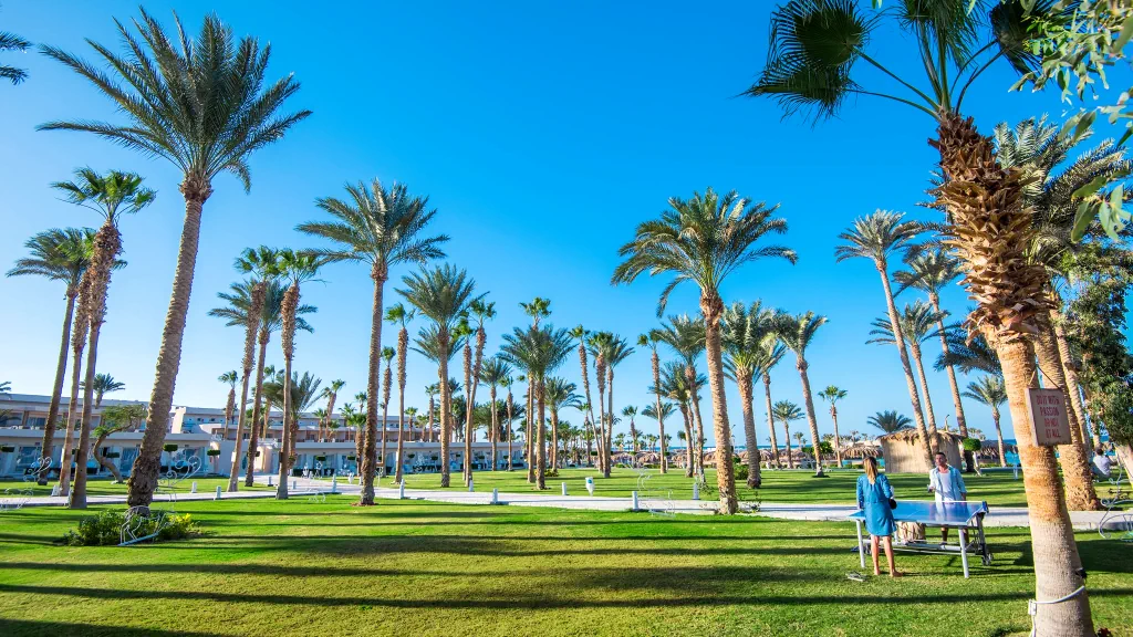 الفندق ميراكي ريزورت - الغردقة